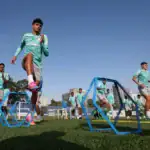 Palmeiras