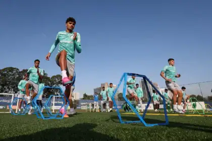 Palmeiras