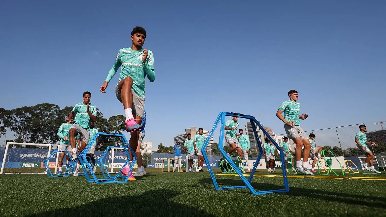 Palmeiras