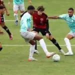 Palmeiras