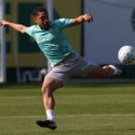 Palmeiras