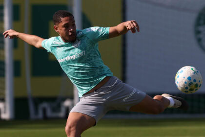 Palmeiras