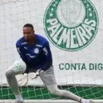 Palmeiras