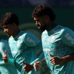 palmeiras