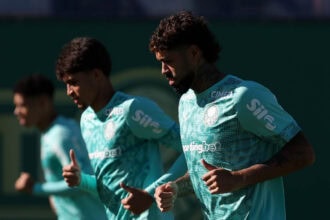 palmeiras
