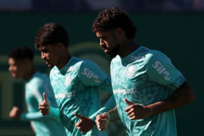 palmeiras