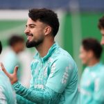 palmeiras