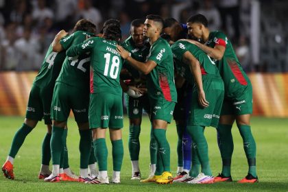 palmeiras