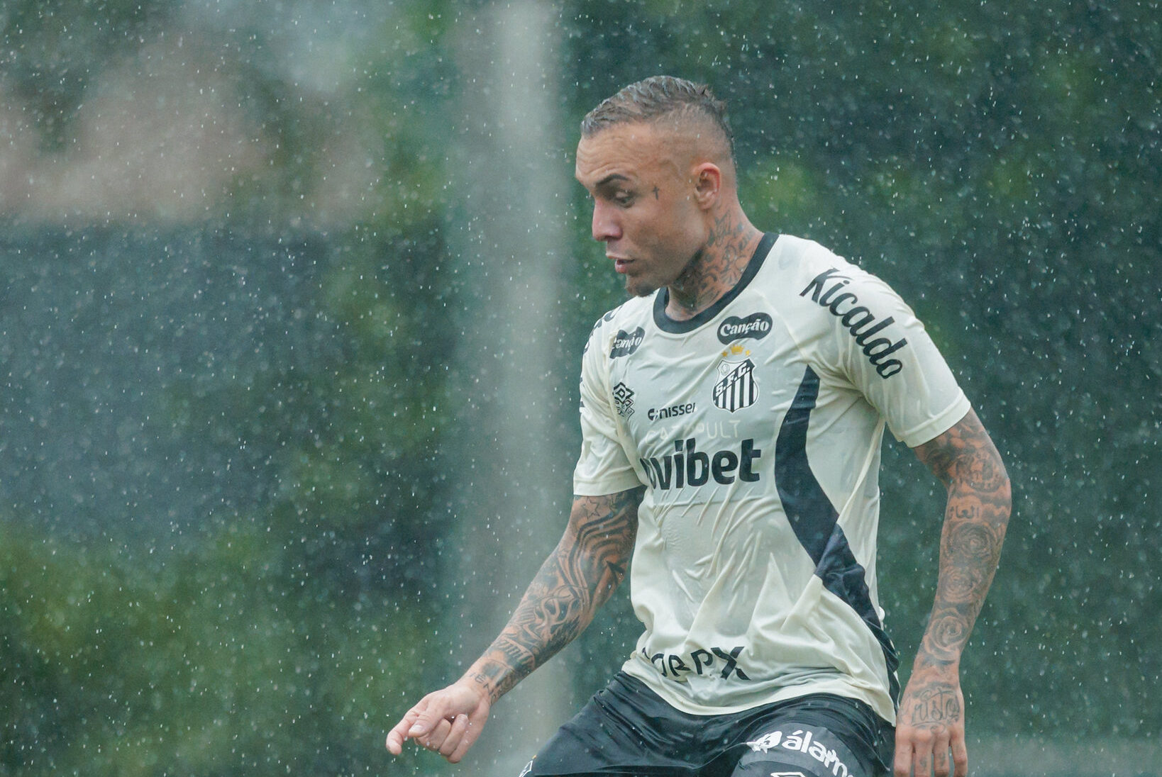 santos cebolinha