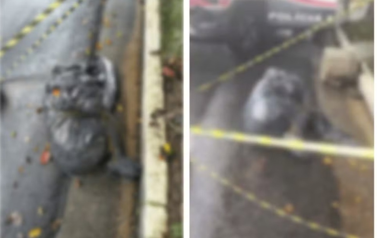 Garis localizaram corpo da vítima durante a limpeza da rua na manhã deste sábado; caso é investigado como homicídio pelo DHPP 