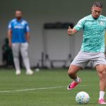 Palmeiras