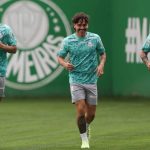 Palmeiras