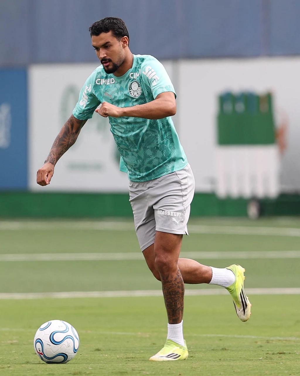 Palmeiras jefté
