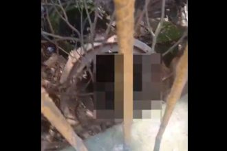 Possível corpo é localizado em área de difícil acesso no bairro Eldorado, em Diadema